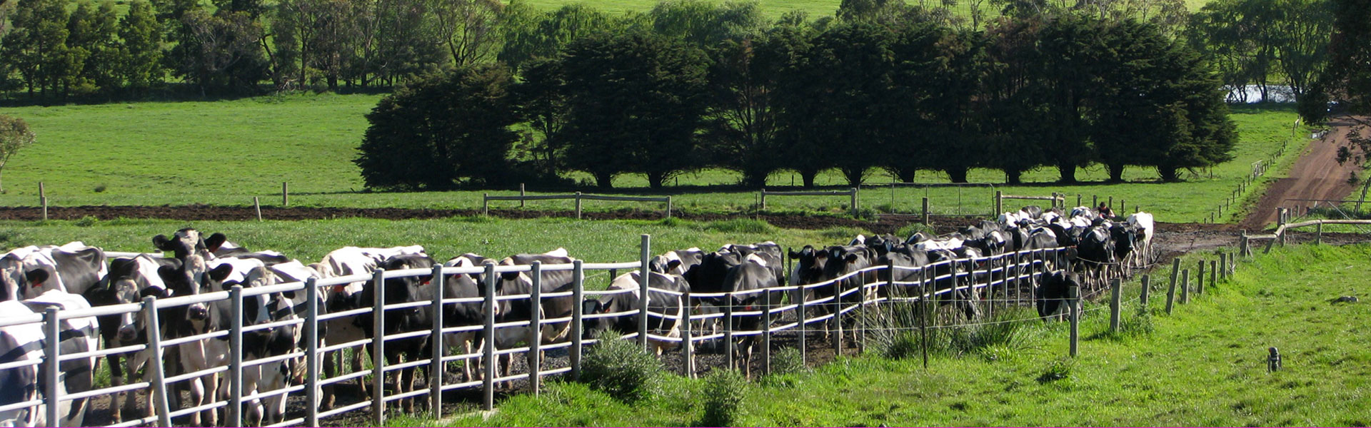 Primetime™ ABS Global Australia