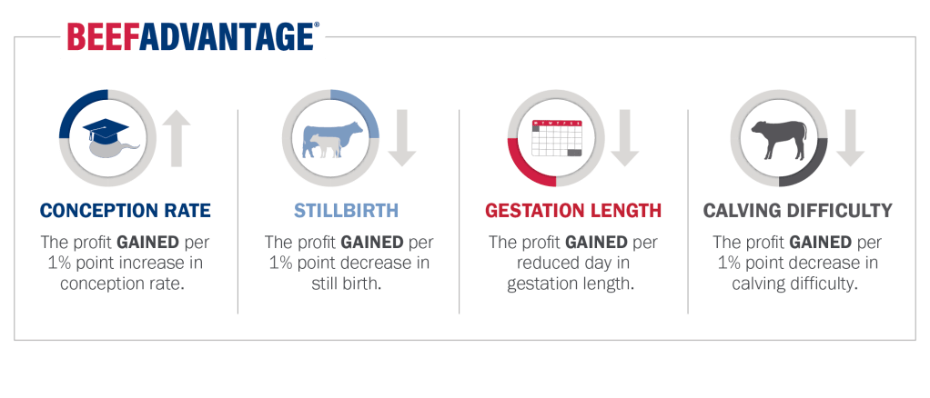 BeefAdvantage_Graphic_BeefAdvantage_Horizontal