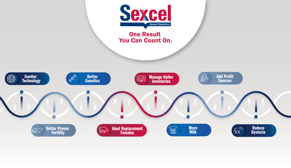 SexcelWhy_Web_DNA-Gradient_1925x1000