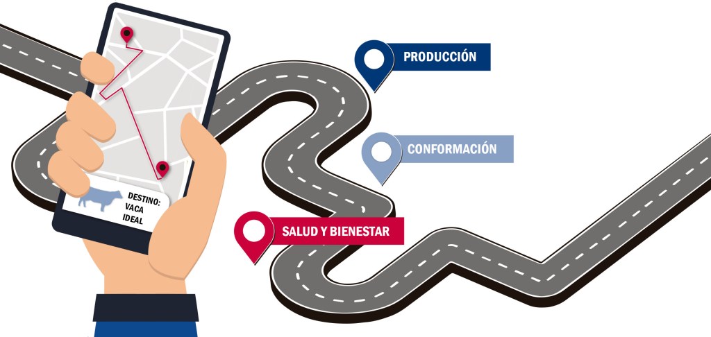 Hoja de ruta para construir su Indice Personalizado