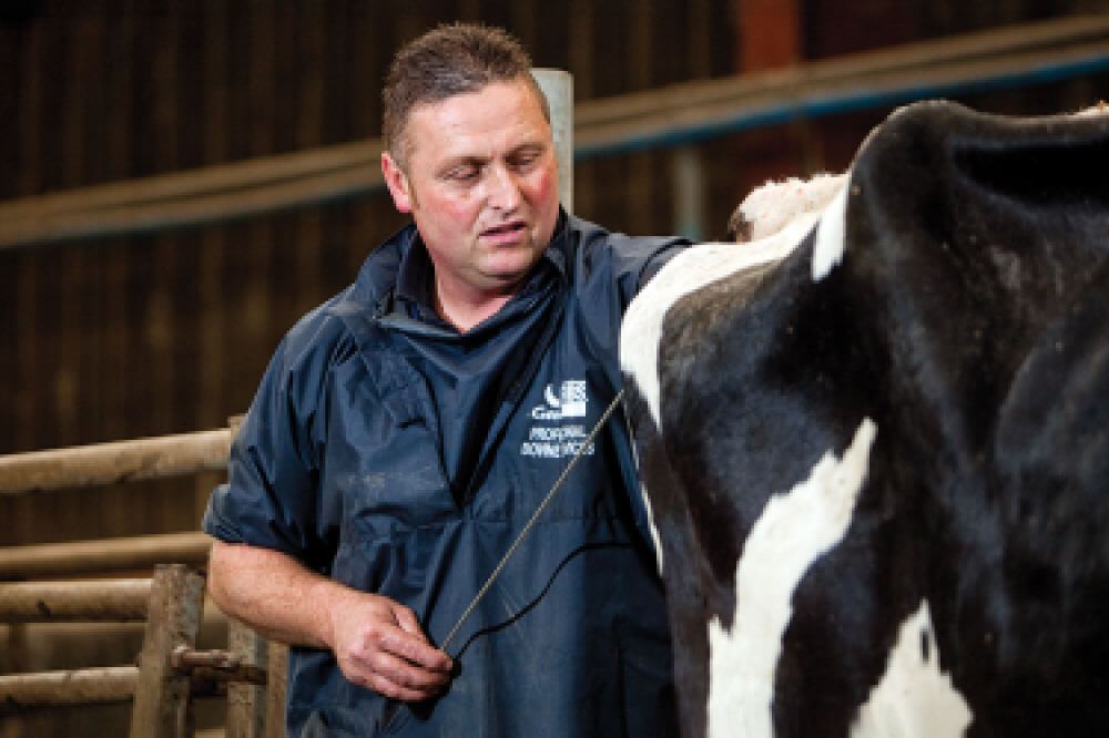 Artificial Insemination