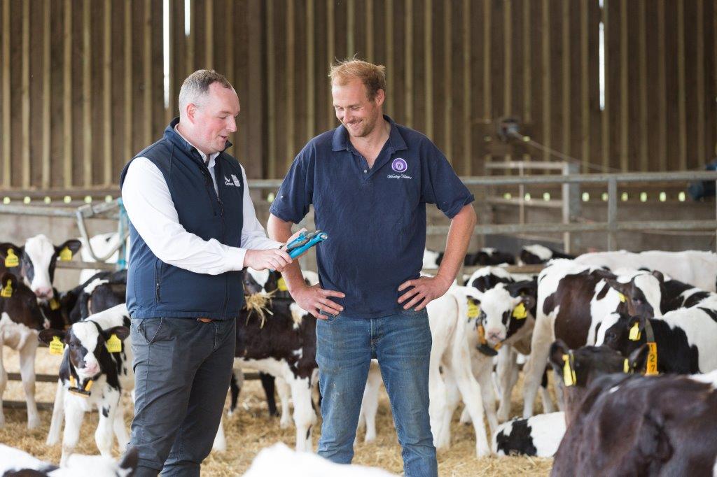 Genus ABS staff with farmer discussing female selection and GENEadvance