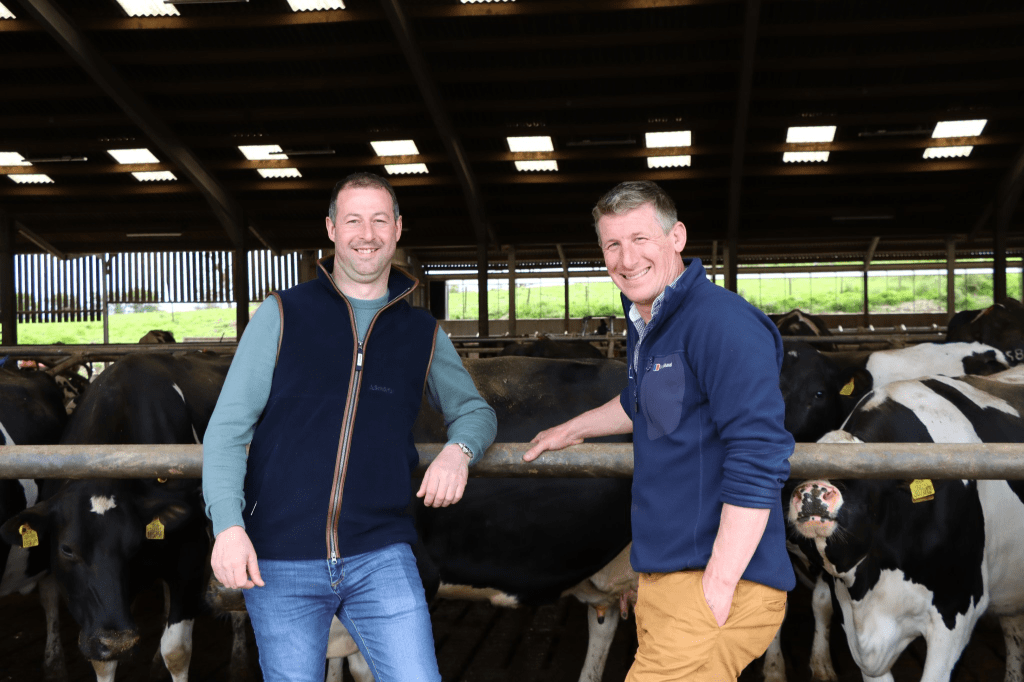 Tom Dodgson and Breeding Advisor, Colin Lucas discussing polled genetics.