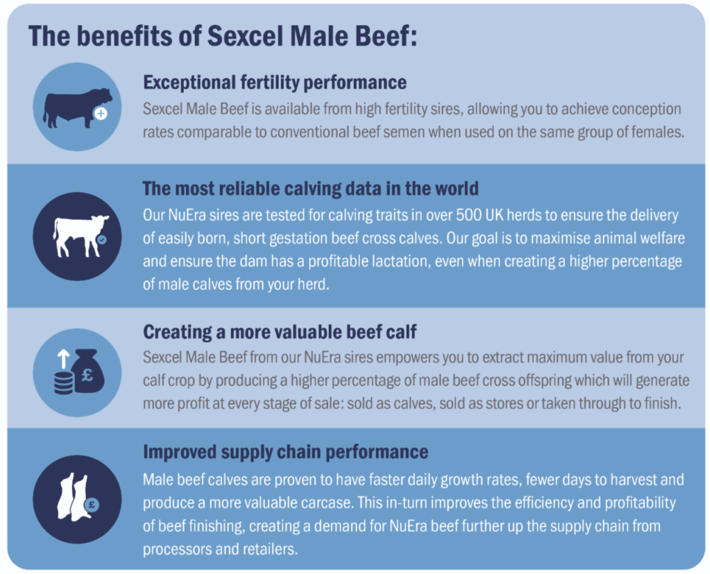 The benefits of Sexcel Male Beef are exceptional fertility performance, the most reliable calving data in the world, creating a more valuable beef calf and improved supply chain performance.