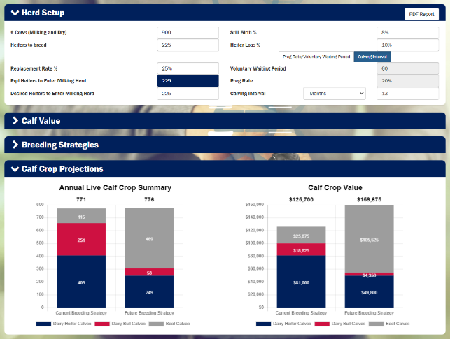 Heifer Optimizer Tool