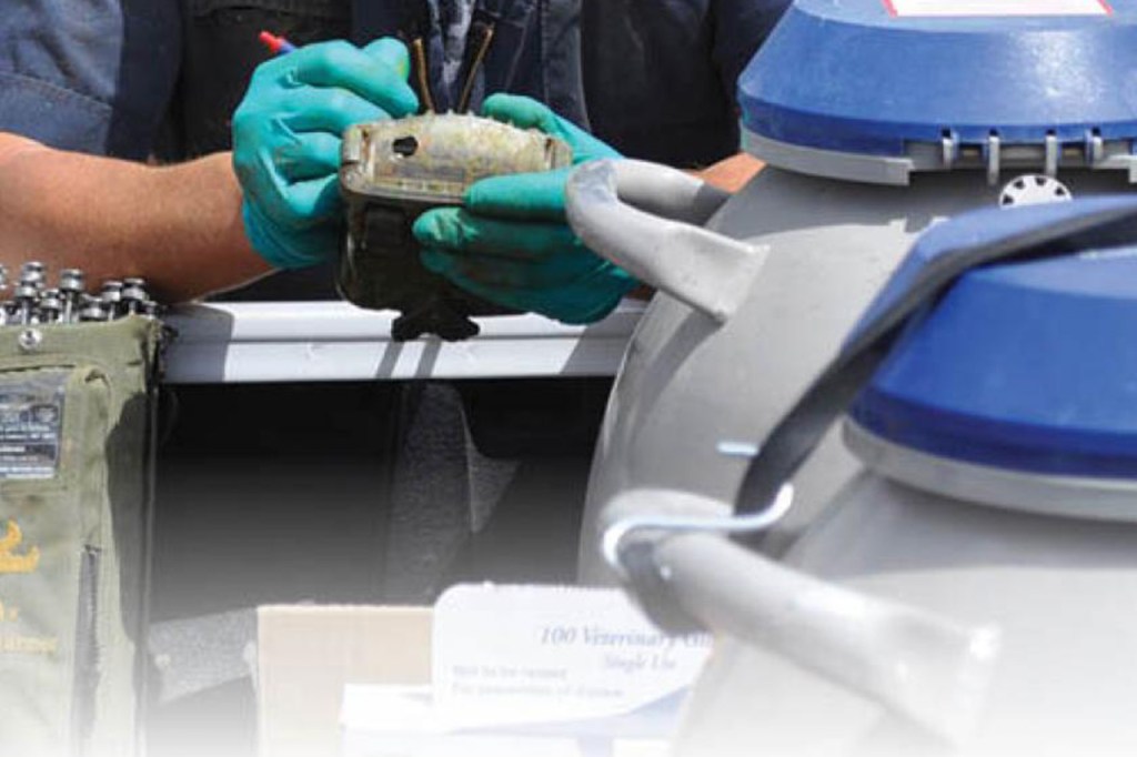 Close up of ABS rep using a handheld next to a semen tank