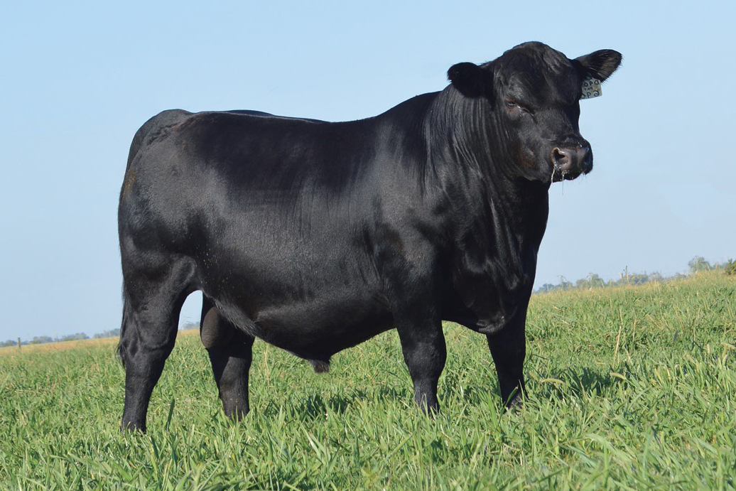 Defect Testing ABS Global US