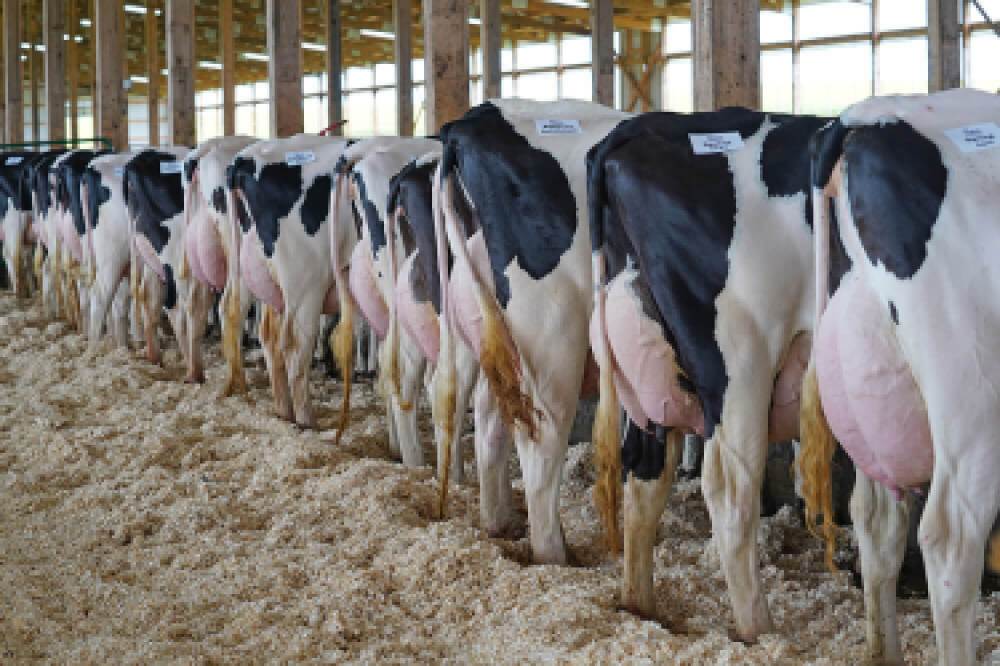 Image of medical devices