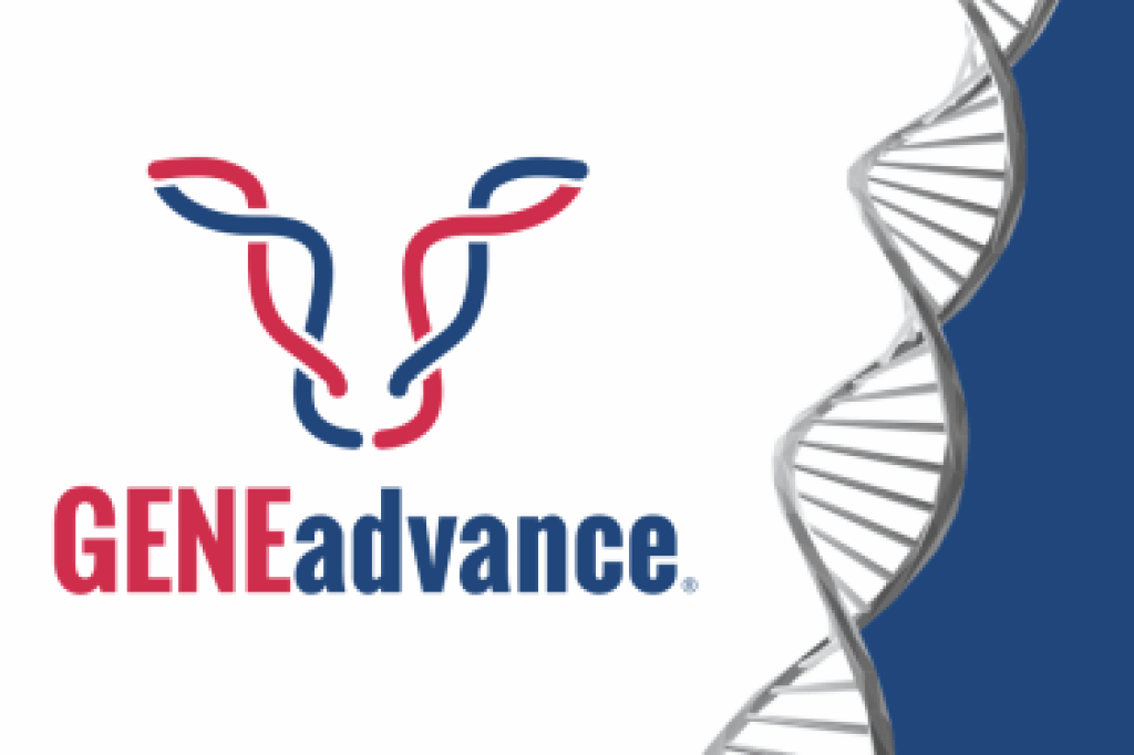 Image of medical devices